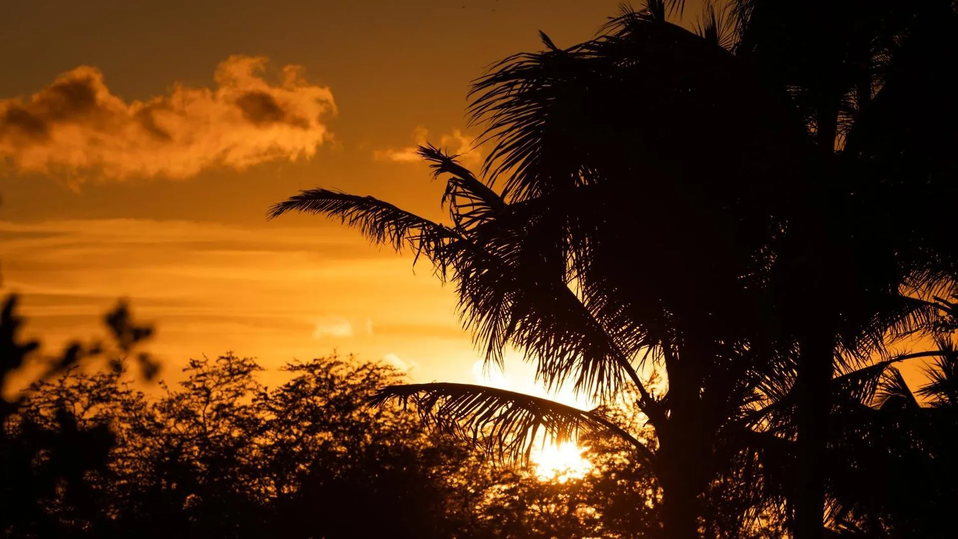 Villa Secret Tropical Hideaway Private 2Br Tropical Hideaway In Fairways Community Waikoloa